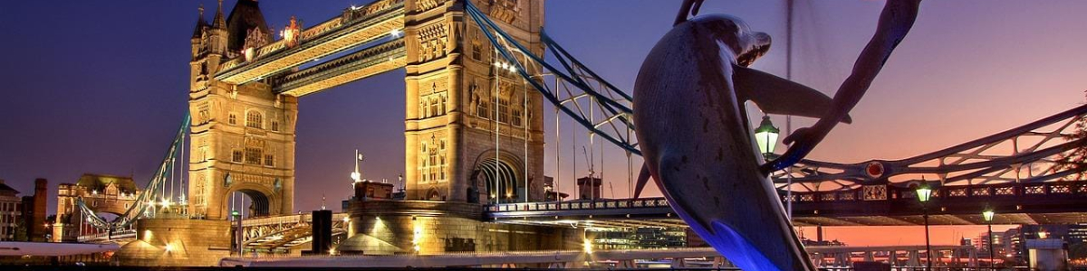 全程代辦美國公司注冊